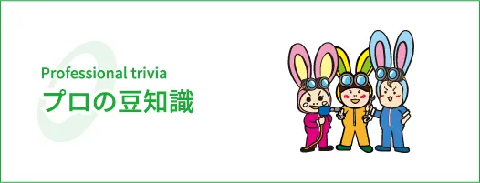 プロの豆知識