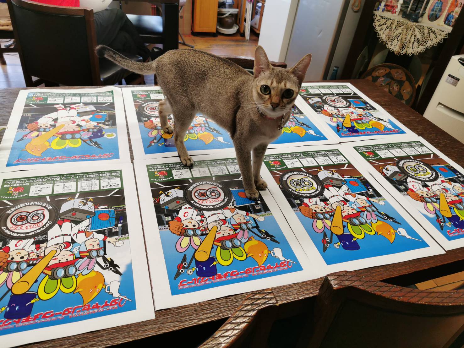 猫も参加したいみたいですの写真